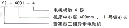 YR系列(H355-1000)高压YJTFKK5602-8-710KW三相异步电机西安西玛电机型号说明